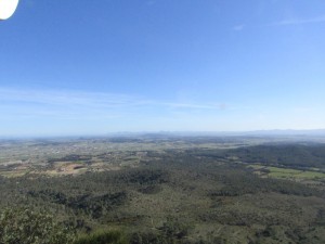 IMG_4417 (Medium)